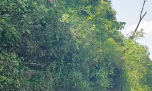 Blind Man Bravely Takes His First Ledge Jump