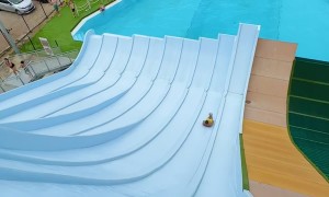 Wild Way To Ride A Waterslide