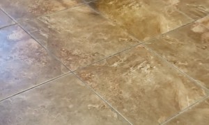 Cat Screams Over Puff Ball Catch