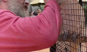 Head Rubs Hit Just Right