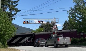 Celebrity Trains, They're Just Like Us