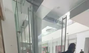 Beverly Hills Mall Robbing