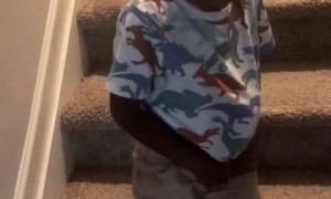 Little boy gives creative excuses after getting busted sneaking snacks