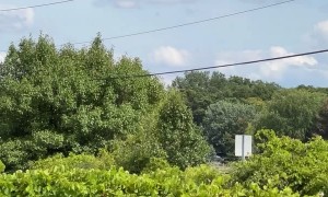 Jet Crashes After Pilots Eject at Michigan Air Show