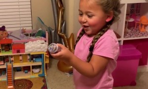 Girl Accidentally Glitter Bombs the Dog While Celebrating First Day of Kindergarten