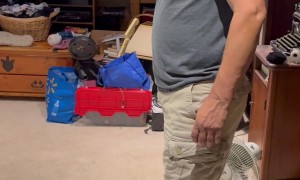 Husband Reacts To 28-Year-Old Wedding Dress