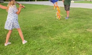 Pinata Party Turns Painful