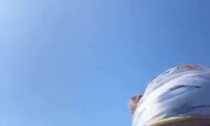 Owl lost at sea rescued by boat