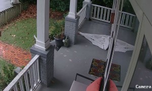 Man Panics at Sudden Rat Encounter