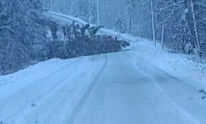 Do You Think He Ducked?