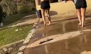 Camerawoman Takes a Tumble