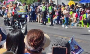 Golden Retriever Gets Big Applause in Parade