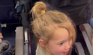 Twinkle, Twinkle Little Plane