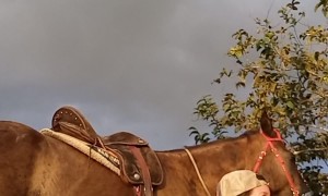 When Saddling the Horse Doesn't Go As Planned