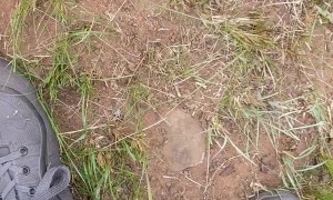 Mesmerizing Threat Display