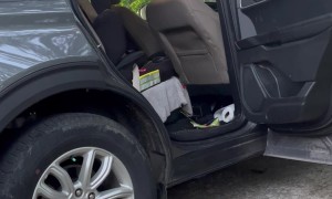 Baby Bears Exit The Car