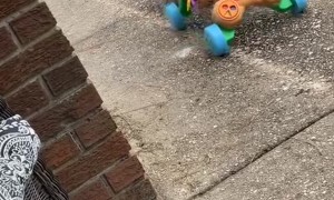Stop, Drop, And Roll Toy Fail