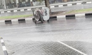 Garbage Drum Floats Down Street In Heavy Rain