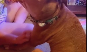 Dog Makes A Funny Face