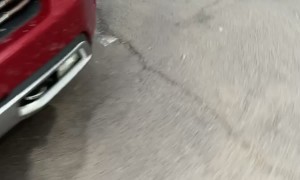 Why We Can't Have Nice Things in Arizona