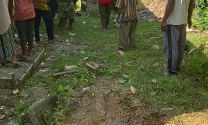 Pulling A Buffalo Out Of A Well