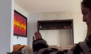 Boxing Training With The Cat