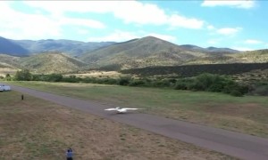 A Real Life Pterodactyl