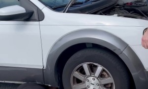 Parking Lot of People Rescue Kitten From Engine