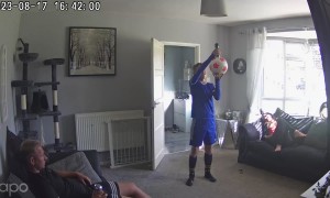 Can Bounces Directly Into Crotch