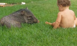 A Kiddo and Piglet's Day Out