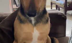 If I Can't See It, It's Not a Problem