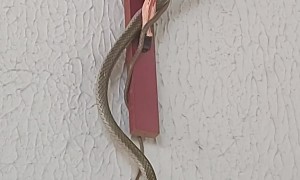 Just Hanging With Jesus