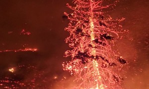 Dramatic Footage of Wildfire Spreading in Kelowna, British Columbia