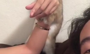 Bunny Tries To Steal Man's Girlfriend