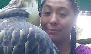 A Handsome Bird Ready For Eligible Ladies