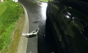 Officer removes two cups from skunk's head