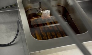 Little Mouse In The Fryer