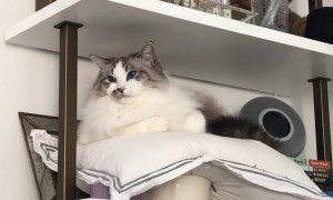 George Enters The Forbidden Zone