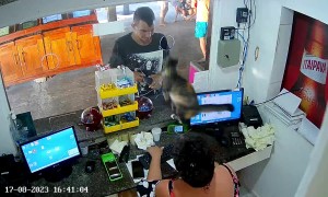 Cashier Cat Doesn't Like This Customer