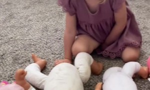 Adorable big sister gives the cutest answer to which baby she's choosing 