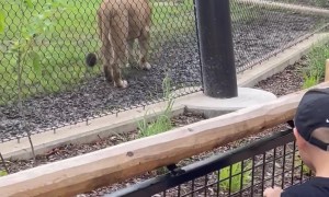 Kids Learn A Fact Of Life At The Zoo
