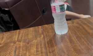 Man Plays Too Hard With His Dog