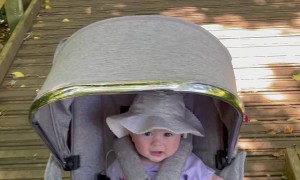 Bumpy Adventures Kiddo Enjoys Wooden Walkway