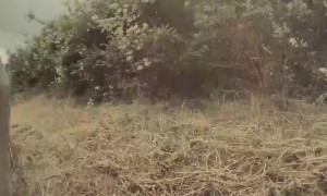 Car Hydroplanes Off Slovakian Road