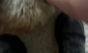 Cat Learns How To Get Dizzy