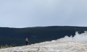 Tourist Too Close To Old Faithful