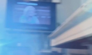 Cowboy Pup Tries to Help