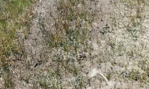 The Ultimate Hiding Spot