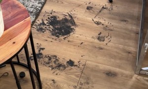 Baby Makes a Mess with Black Gel