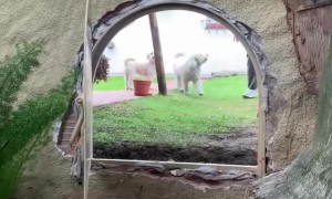 They Get the Best of Me